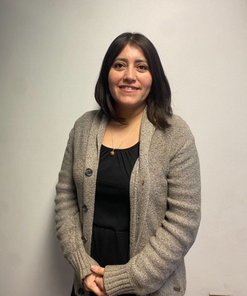 Viviana Villarroel Cárdenas